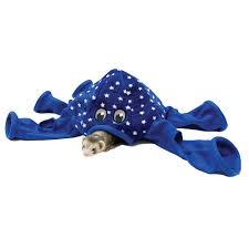 Toca Octo play (Polvo) para Ferret Marshall